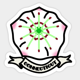 Connecticut Sticker